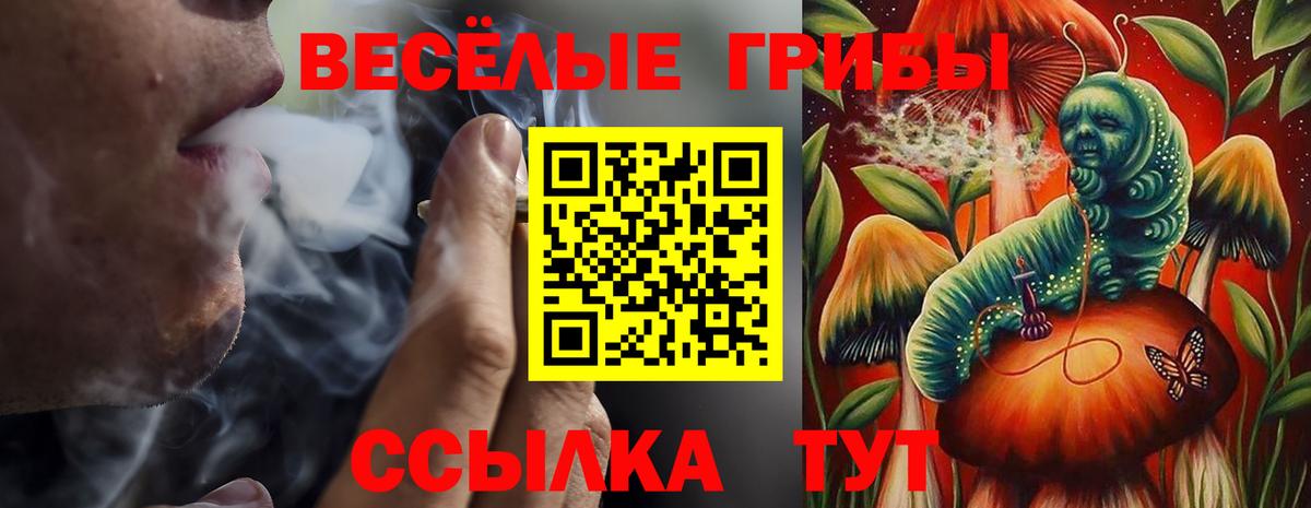 купить   Псилоцибиновые грибы прущие грибы  Вход с VPN  Керчь 