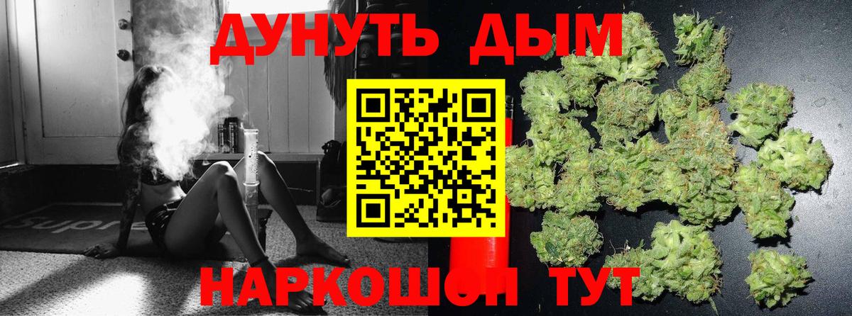 Канабис сатива Керчь